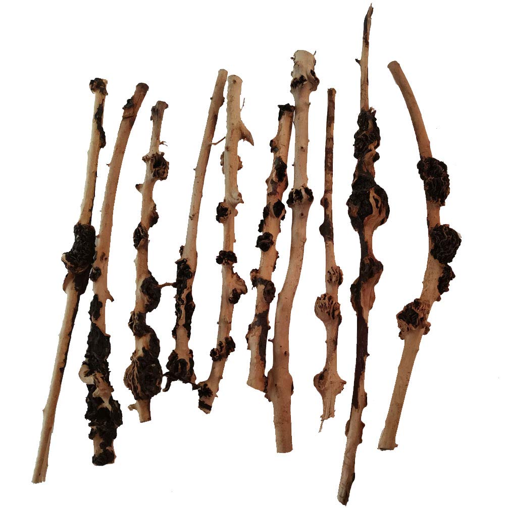 emours Reptile Décor Natural Forest Branch Terrarium Wood Aquarium Ornament Fish Tank Decoration, (Diameter(0.2-1cm),(8-13 inch) length,10pcs)