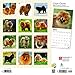 Chow Chows 2019 12 x 12 Inch Monthly Square Wall Calendar, Animals Dog Breeds (English, French and Spanish Edition)