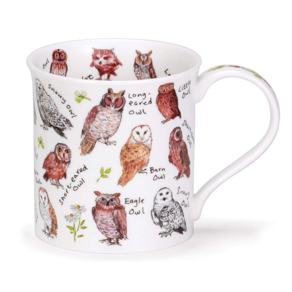 Dunoon Bone China Birdlife Ornathology Mug (Owls)