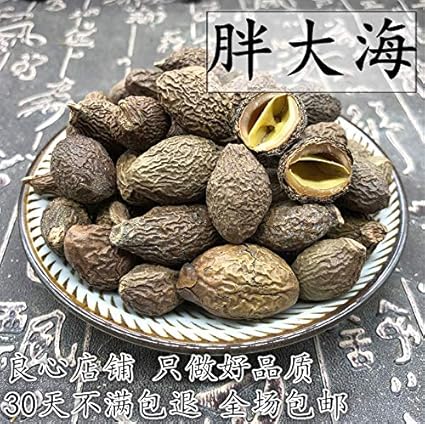 Amazon Com 包邮野生胖大海500g 新货大海大海子chinese Medicinal Materials 中药材供应大洞果大发 Grocery Gourmet Food