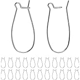 BEADNOVA Ear Wire Hooks 60pcs Stainless Steel Kidney Earring Hook Wire Ear Findings for Earring Making Jewelry Making Earwire DIY (25mm, 60pcs)
