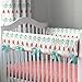 Carousel Designs Coral and Teal Arrow 3-Piece Crib Bedding Set