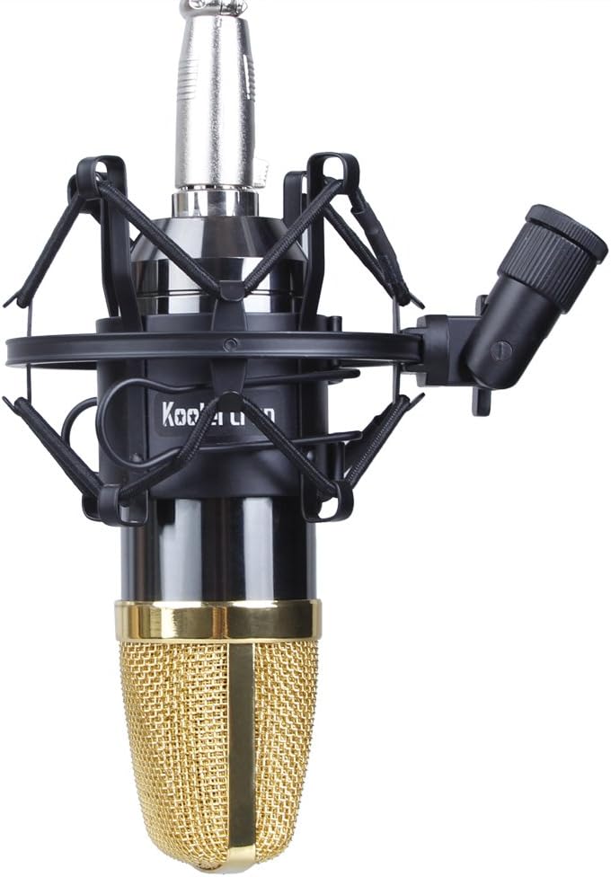 Koolertron Universal 50MM Microphone Shock Mount for 48MM-54mm Diameter Condenser Mic (Black): Musical Instruments