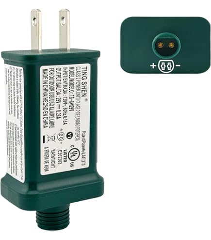 Intention Energy Group NANO BIVE2点セット 29V 0.28A Power Supply Class 2 Transformer Raintight IP44 US