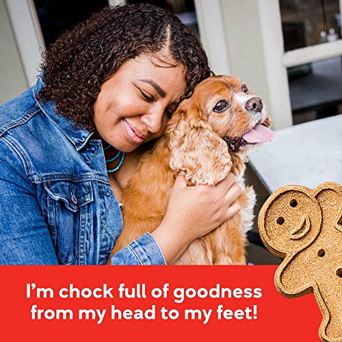 Buddy Biscuits Grain Free Soft & Chewy Healthy Dog Treats with Grilled