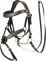 LeMieux Hobby Horse Grackle Bridle Brown Padded Leather Lambswool Educational view 1