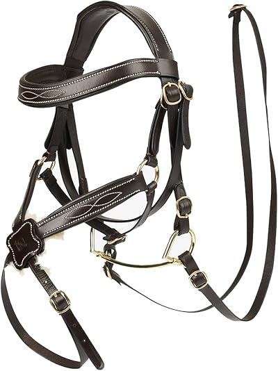 LeMieux Hobby Horse Grackle Bridle Brown Padded Leather Lambswool Educational