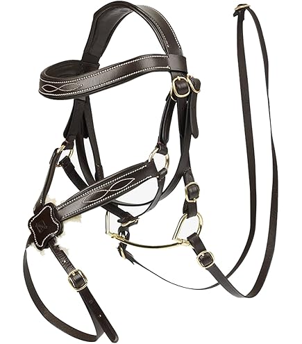 Bonnet à oreilles pour Horse de Hobby Lemieux