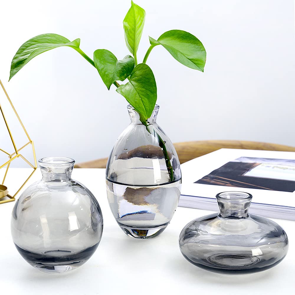 Hniuyun 3Pcs/Set Glass Vase, Small Mini Flowers Bud Vases, Transparent Hydroponic Vase Minimalist Aesthetic Home Decor (Gray)