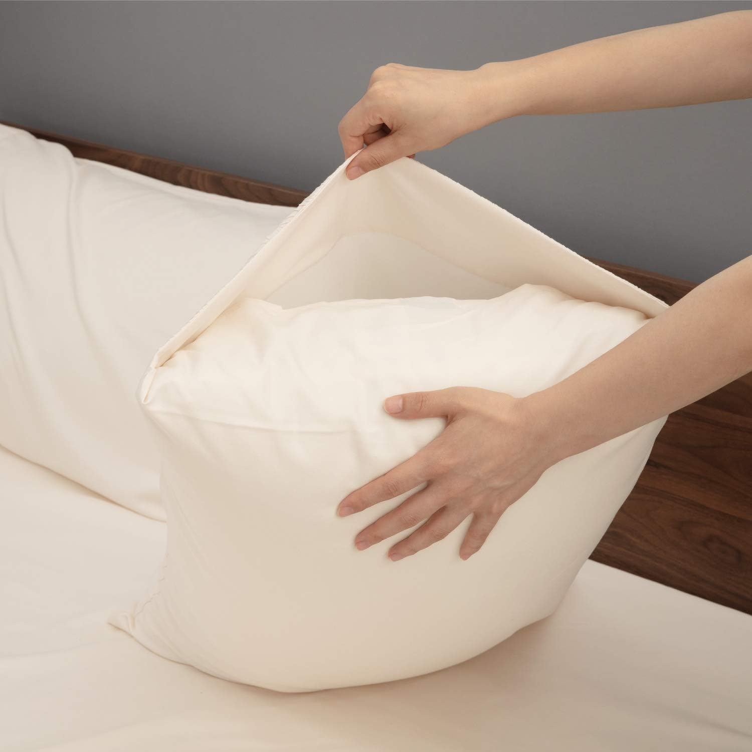 Bedsure Bed Sheet Set - Beige Tan Taupe Cream Ivory Bed Sheets Queen - Soft Brushed Microfiber, Wrinkle Resistant Bedding Set - 1 Fitted Sheet, 1 Flat Sheet, 2 Pillowcases (Queen, Beige): Home & Kitchen