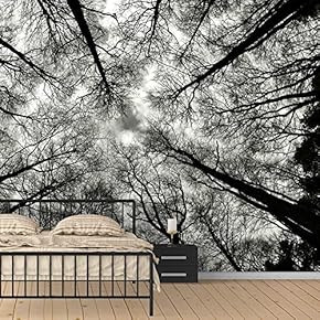Wall Murals for Bedroom Dreamwork Beautiful Removable Wallpaper Peel and Stick Wall Stickers - 66x96 inches