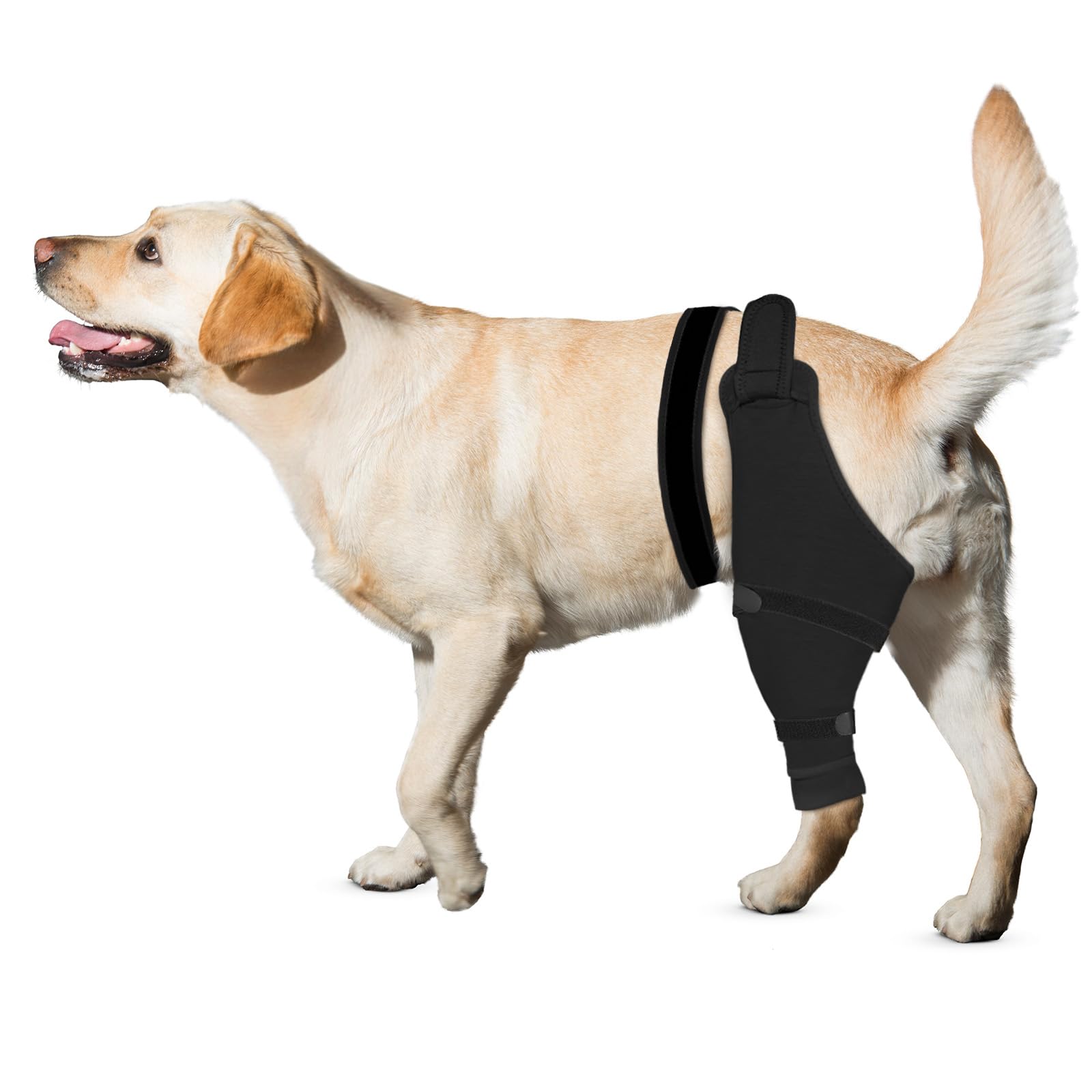 Photo 1 of (medium) Joypig Dog Rear Leg Sleeve to Stop Licking: Soft Recovery Wrap for Hind/Back Leg Wounds, TPLO ACL Surgery, Surgical Sleeve for Small Medium Large Dogs, Cone Alternative (Left-M, Matte Black)
