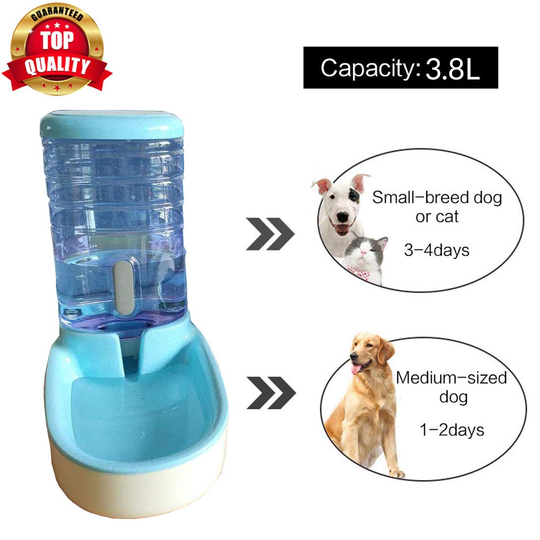 dog self water feeder