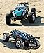 KingPow RC Car 1/24 Scale 2WD Remote Control Cars With 2.4 Radio Controlled Electric Rc Truck Off-road for Kids
