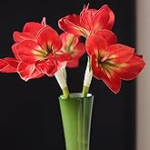Evlasumflow 21.5" Artificial Amaryllis Flowers Red Fake Silk Flowers Faux Belladonna Lily for Home Office Hotel Decoration Wedding Centerpiece Bouquet1(3PCS,Red)