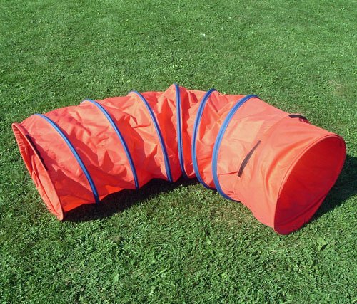 Affordable Agility 6 ft Practice Fabric Tunnel w/19 Diameter and Carry Bag for Small Dogs