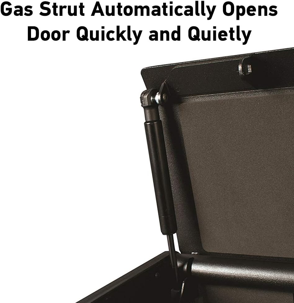 SentrySafe QAP2BEL Gun Safe with Biometric Lock, 2 Capacity & Interior Light: Home Improvement
