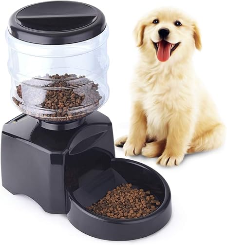 Petinn Distributeur Automatique De Nourriture Distributeur De Croquettes Programmable Pour Chien Et Chat Gamelle Enregistrement Vocal 3 Repas Par Jour Mangeoire 5 5l Noir Amazon Fr Animalerie