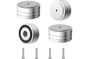 Tertullus 4 Sets High-End HiFi Aluminum Speaker Feet, Shock Base Pad Spikes,40x20mm,Shockproof Stand Pad for HiFi Devices Amplifier Turntable DAC Recorder CD (Silver)