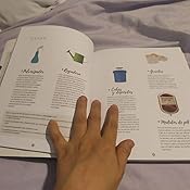 Huerto urbano para todos: Guía completa para cultivar tus propios ...