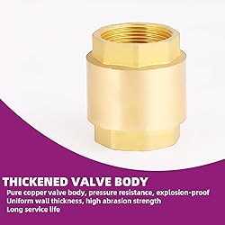MYWERO 2-1/2" One Check Valve, Female Threaded