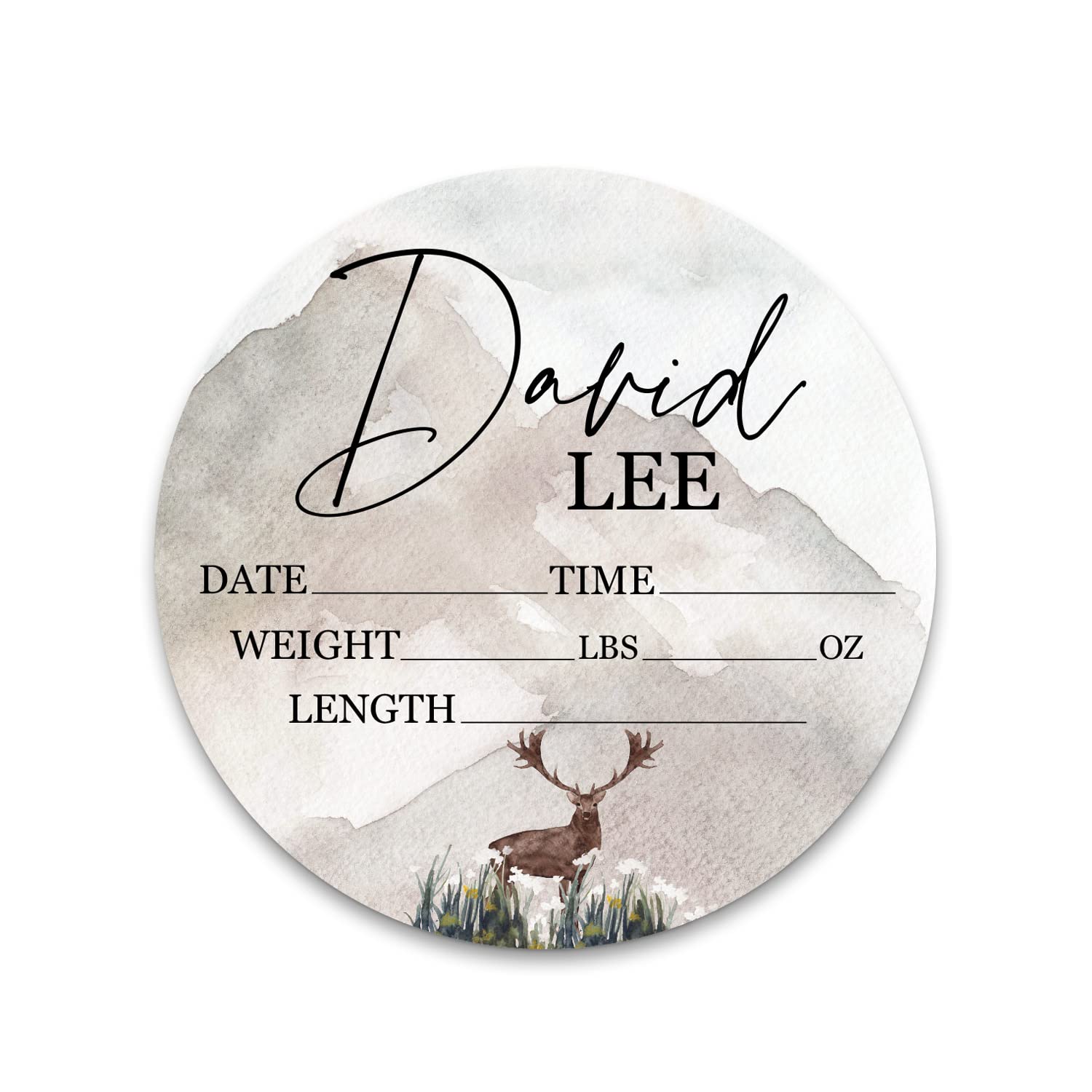 Birth Stat Sign Personalized for Newborn Baby, Woodland Deer Design, Crib & Nursery Decor, Photography Prop, Baby Shower Gifts, Gender Reveal, Pregnancy Announcement, Hickory Hollow Designs