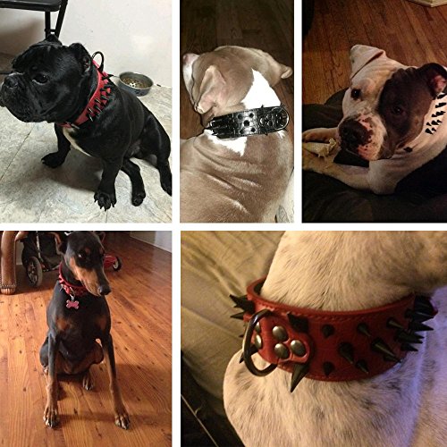 Beirui Sharp Spiked Studded Dog Collar - Stylish Leather Dog Collars - 2 Inch in Width Fit for Medium & Large Dogs - Such as Pitbull Mastiff - Black Rivets & Pink Leopard Leather,19-22"?