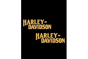 Motorcycle Big Letters Logo Transfer Vinyl Decal #2 Piece Moto HD Club 2.6"x8" (Gold)