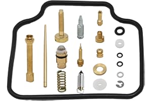 SYOWADA Carburetor Rebuild Kit replacement for Yamaha TTR225 1999-2004 XT225 1992-2000, Carburetor Repair Kit Replacement for
