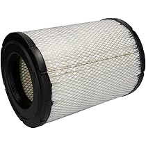 Amazon.com: Donaldson P527484 Air Filter, Primary : Automotive