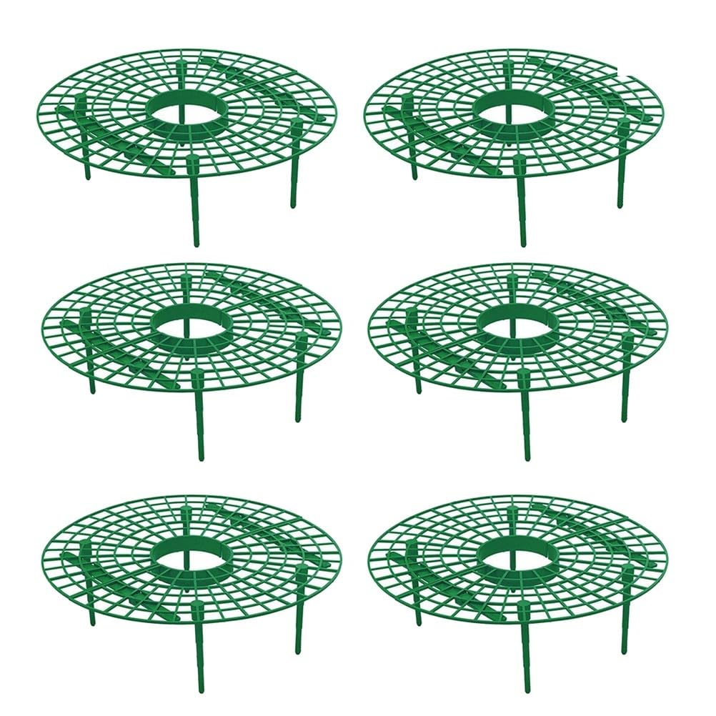 Toddmomy 6pcs Tomato Plant Strawberry Cages Gardening Plant Support Rings Strawberry Growing Frame Garden Planter Outdoor Shelf for Plants Climbing Plant Holder Frames Pumpkin Climbing Vine