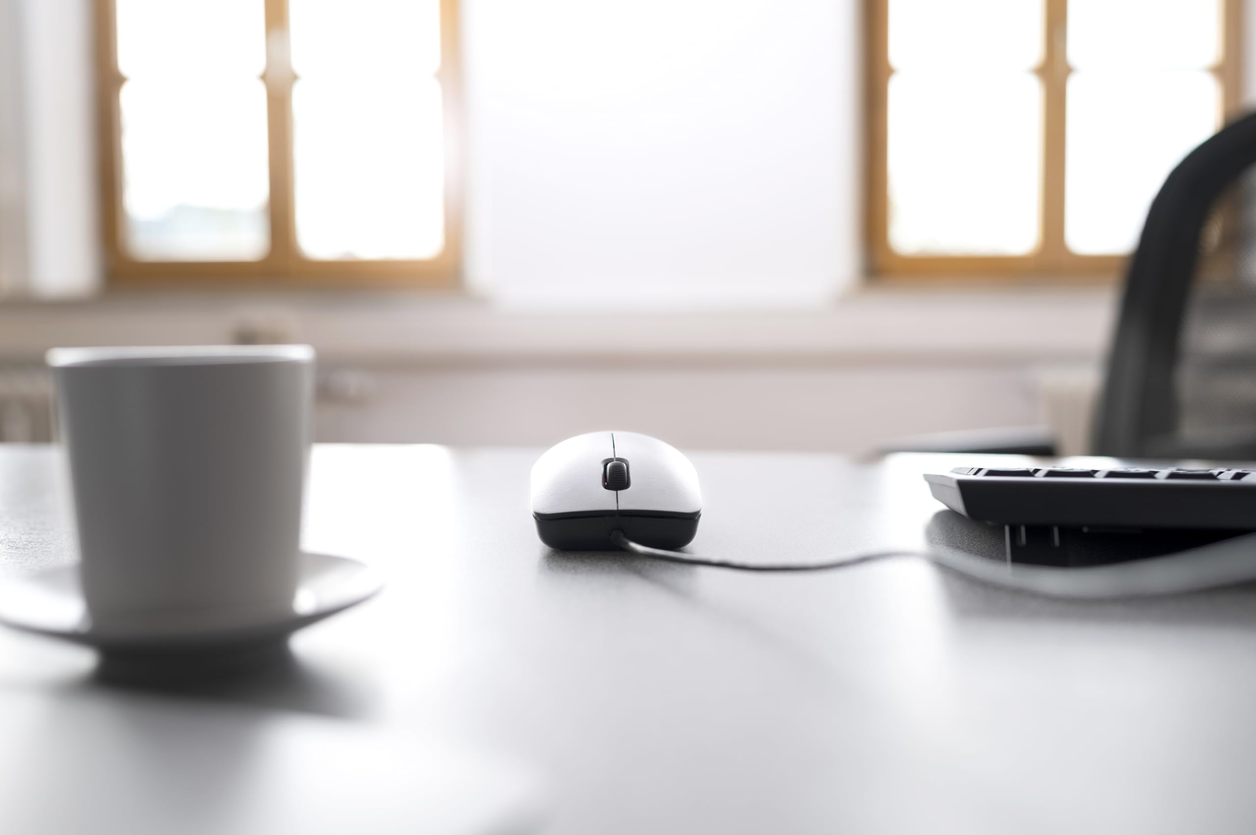 CHERRY MC 1000, Kabelgebundene Office-Maus, Optischer Sensor (1.200 DPI), 3 Tasten, Symmetrisches Design für Links- & Rechtshänder, GS-Zertifizierung, Weiß-Grau 6