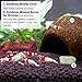 SunGrow Coco Shrimp Cave, 5-inches Wide by 3-inches Tall, Coco Hut, Comfortable Hideout for Crustaceans, Perfect Breeding Area, Promotes Molting and Breeding, Aquarium Decorthumb 4