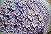 V-inspire Art, 24x48 Inch Modern Canvas Art Textured Purple Flower Oil Painting Contemporary Artwork Floral Hangings Stretched and Framed Ready to Hang Wall Decoration Abstract Painting