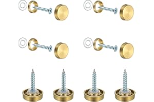 YELARXI Mirror Screws 304 Stainless Steel Decorative Caps Cover Nails Fasteners, 16mm Brushed Finish Fit for Mirror Sign Advertising Hardware (8Pcs, Gold)