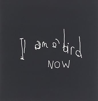 Antony The Johnsons I Am A Bird Now 1 Cd By Amazon Co Uk Music