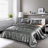 Holawakaka Luxurious Solid Satin Silk Like Comforter Set Ultra Soft Silky Quilt Breathable Bedding Bed-in-A-Bag Queen Size (Grey)