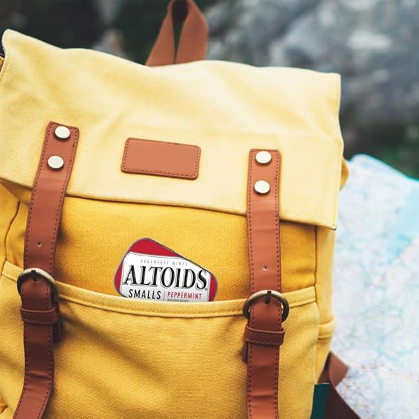 ALTOIDS SMALLS PEPPERMINT BREATH MINTS, 9 COUNT