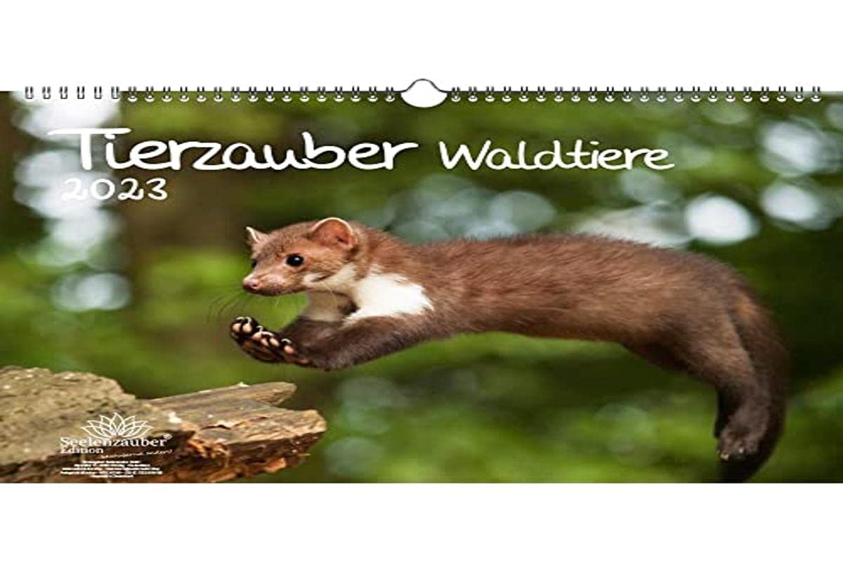 Tierzauber Forest Animals DIN A3 Calendar for 2023 Animals in the Forest - Soul Magic, Multi-Colour, KN2023-3W-0036-D-0