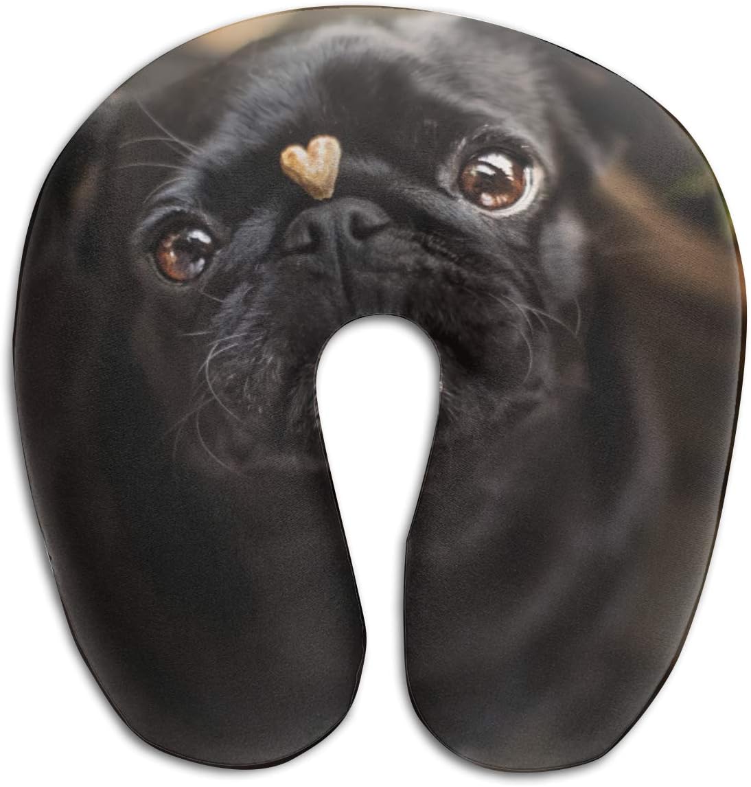 must have dog travel accessories