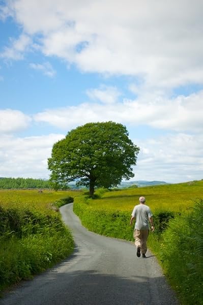 Land And Landscape The Painting Of James Morrison Amazon Co Uk John Morrison 9780957069015 Books