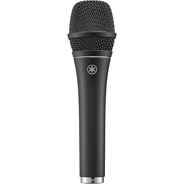 Amazon.com: CAD Audio D90 Handheld Dynamic Microphone Black