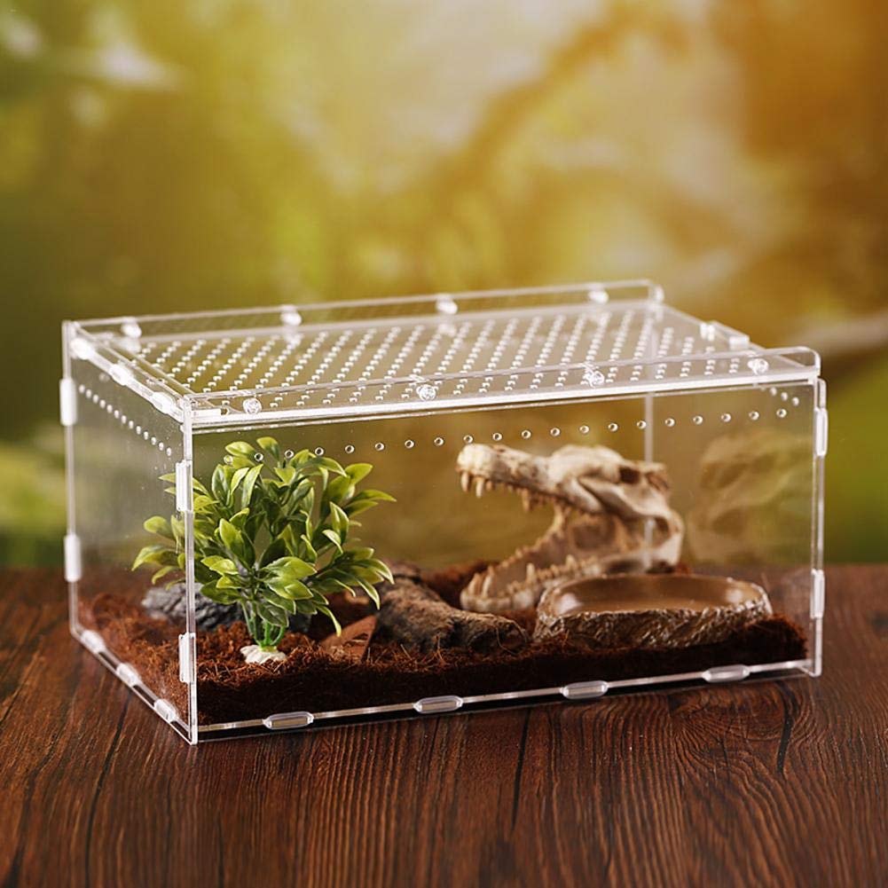 Terrariums lossomly Transparent Reptile Box Acrylic Reptile Breeding