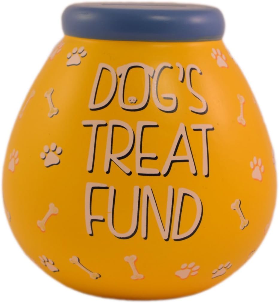 Dog's Treat Fund Pots of Dreams Money Pot Save Up & Smash