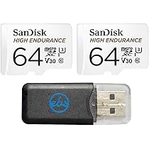 Amazon.com: 2-Pack SanDisk High Endurance Video Monitoring
