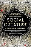 Social Creature