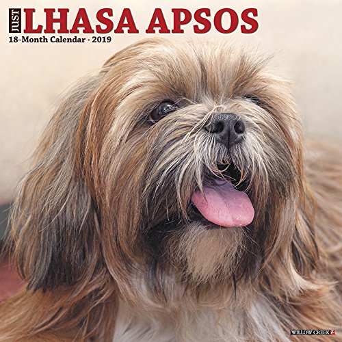 Just Lhasa Apsos 2019 Wall Calendar (Dog Breed Calendar) Just Lhasa Apsos 2019 Wall Calendar (Dog Breed Calendar)