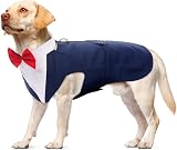 PUMYPOREITY Dog Tuxedo Two Piece Set Blue XL Bandana Bow Tie Collar