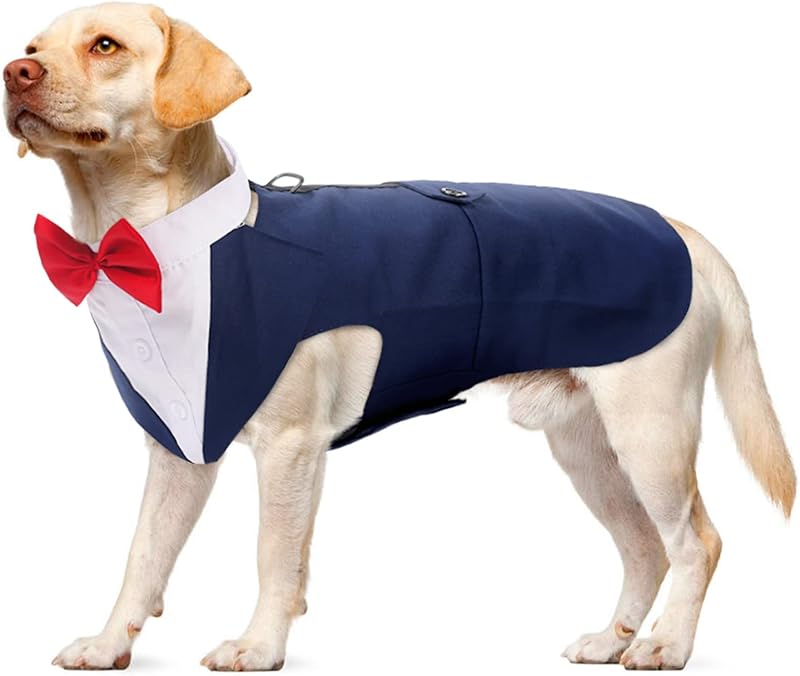 PUMYPOREITY Dog Tuxedo Two Piece Set Blue XL Bandana Bow Tie Collar