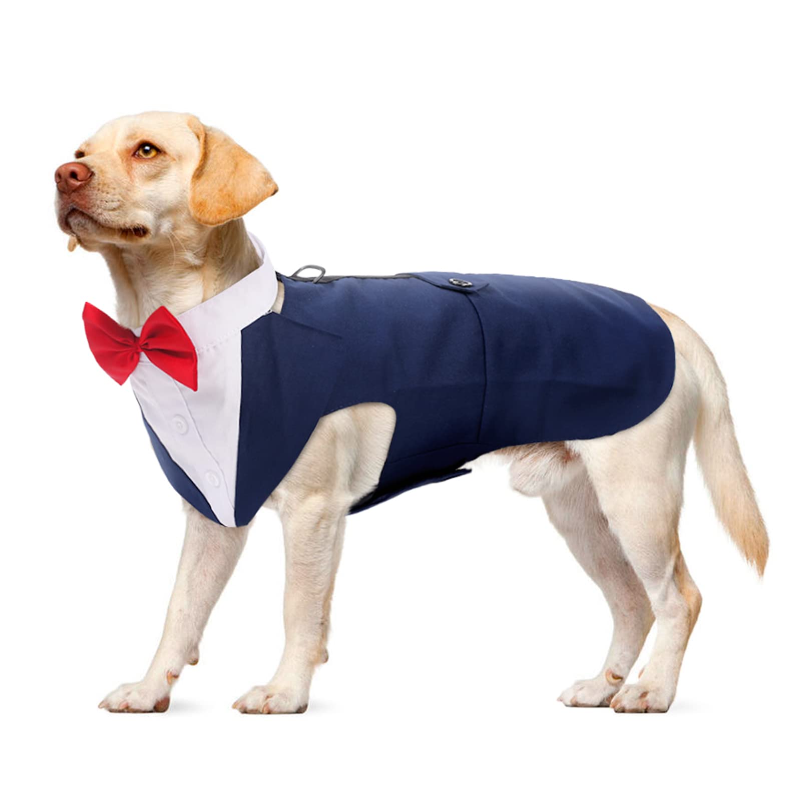 Dog Tuxedo, Dog Christmas Outfit Dog Halloween Costumes Dog Birthday Outfit Costumes for Small Dogs Wedding Bandana Dog Suit Funny Dog Costume Christmas Dog Dress Up(Blue, XL)